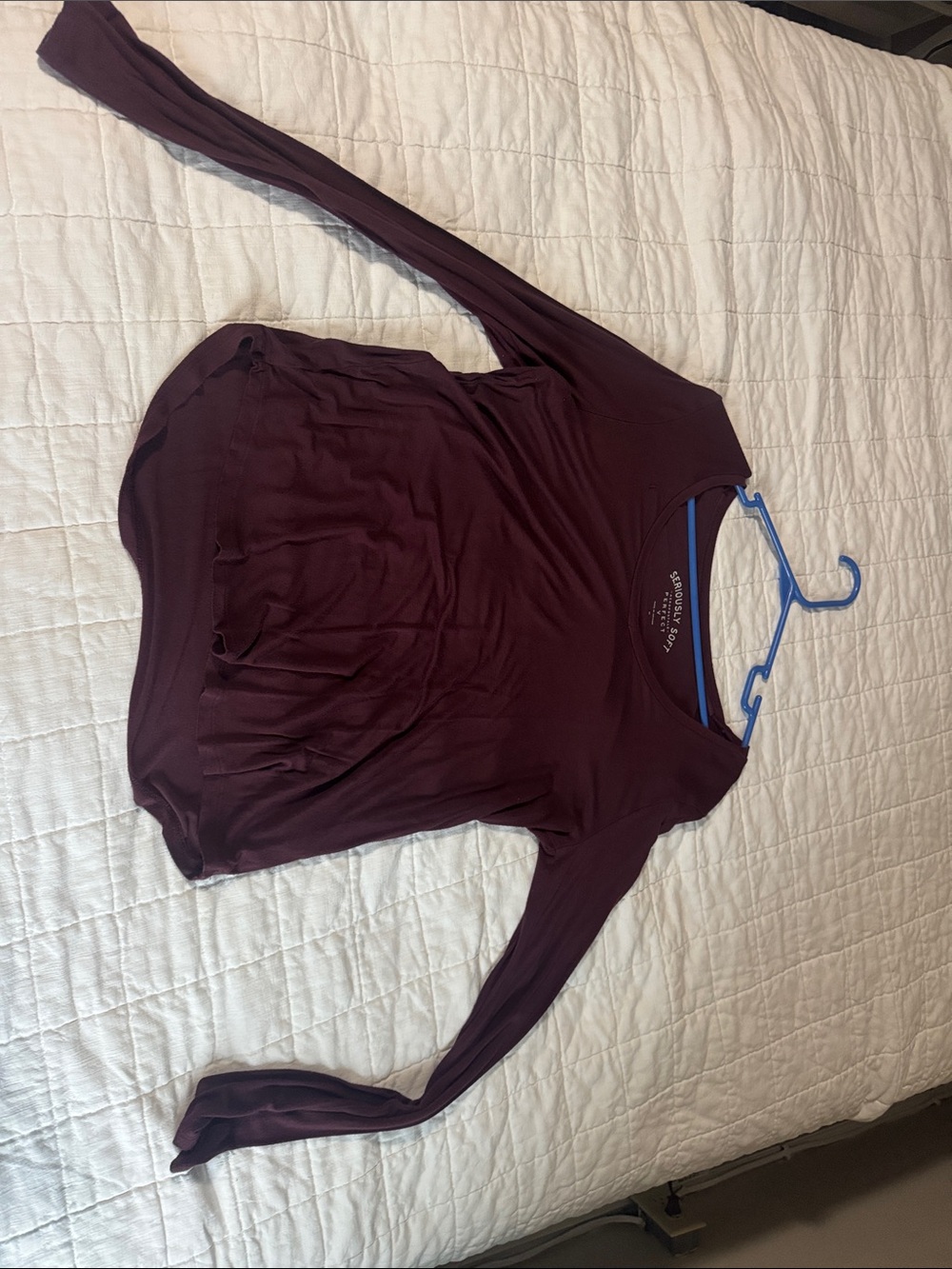 Long Sleeve Scoop Neck Top in Burgundy